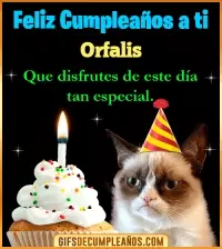 Gato meme Feliz Cumpleaños Orfalis
